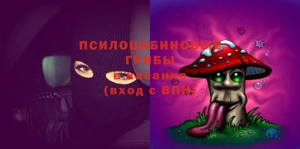 стафф Вяземский